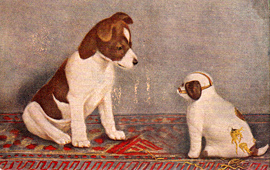 Мир наших увлечений - открытка с собаками