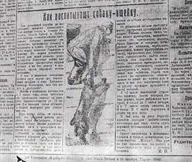 Как воспитывают собаку-ищейку, газета Вечерняя звезда, 24 мая 1926 год