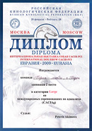 Аджилити  - CACIB-FCI Евразия, 2009