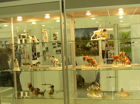 Выставка собак охотничьих пород