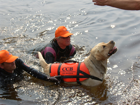 Чемпионат России по службе спасения на водах с применением служебных собак - 23 июля 2016
