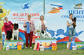 Выставка собак - Белые ночи в Перми 2019 и Кураж 2019
