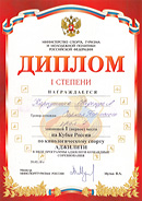 Кубок России по аджилити, 2010