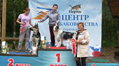 Выставка собак - Уральский меридиан 2019