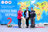 Выставка собак - Пермский период, 2022