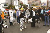 Парад - выступление с собаками