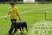 Руководство FCI для международных испытаний собак