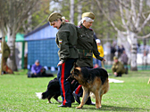 Фотогафии - показательные выступления спортсменов с собаками на 9 мая