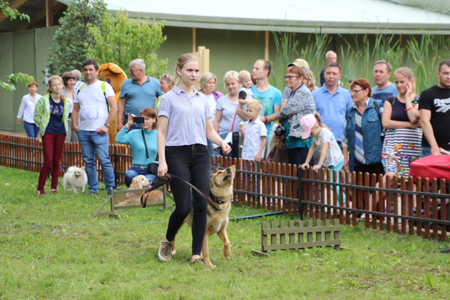 Выступление спортсменов с собаками на фестивале Сады над Камой