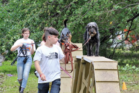 Выступление спортсменов с собаками на фестивале Сады над Камой