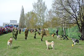 Реконструкция боевых действий с собаками на 9 мая 70 лет Победы
