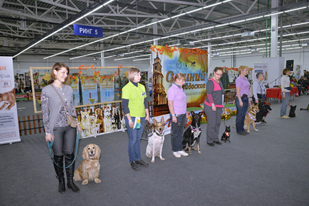 Показательные выступления, конкурсы и соревнования выставки собак «Осенний калейдоскоп - 2016»