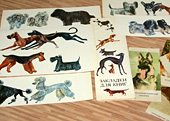 Рисунки, открытки, закладки - музей собаководства