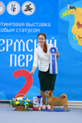 Выставка собак - Пермский период, 2022